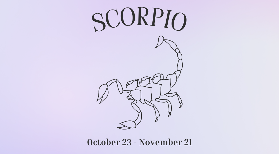 THE 5 BEST Hand Pipes for Scorpios